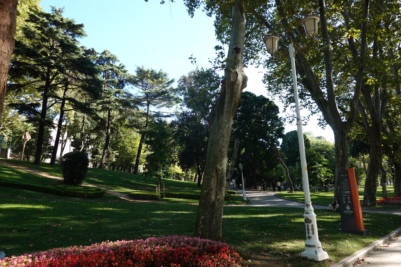 Tall trees and flower beds beside a walking path in Istanbul's Gulhane Park